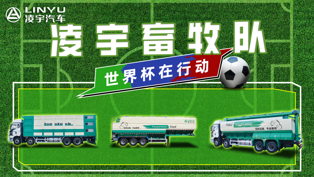 奪冠世界杯！你注意到這支球隊了嗎？